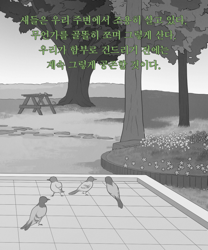 카드뉴스13