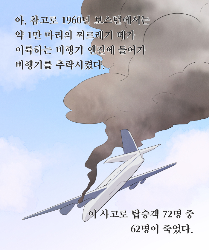 카드뉴스16