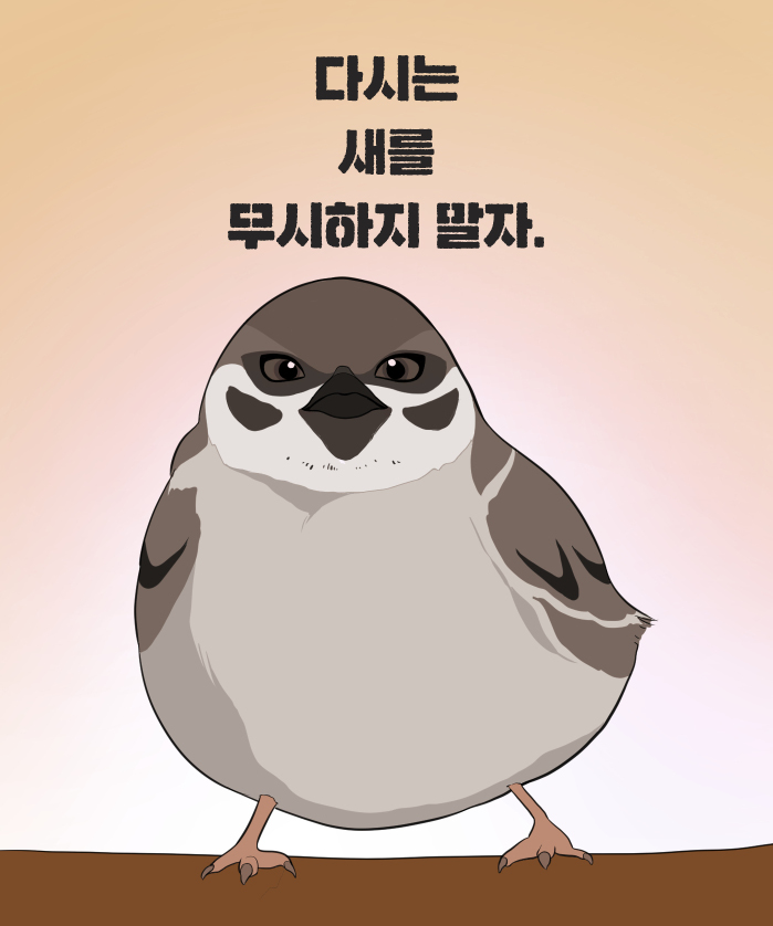 카드뉴스17