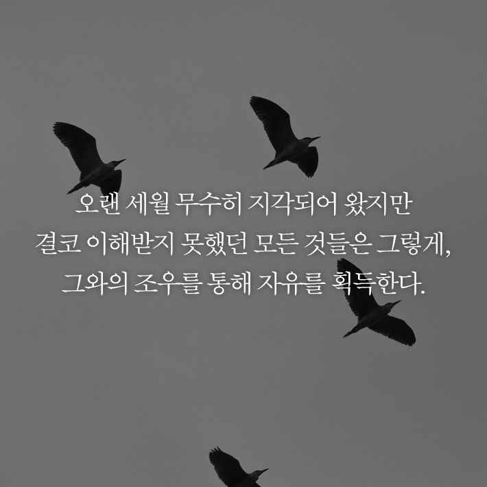 카드뉴스5