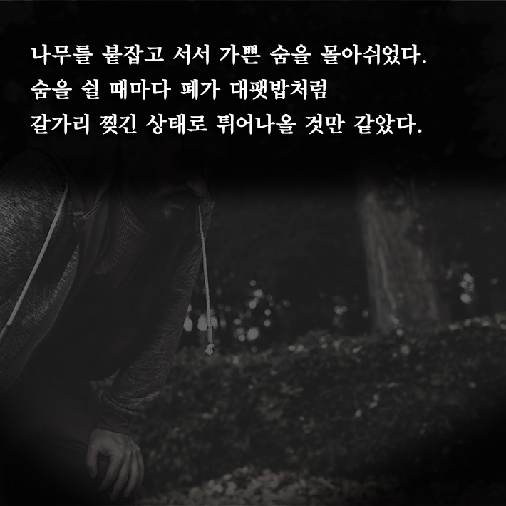 카드뉴스1