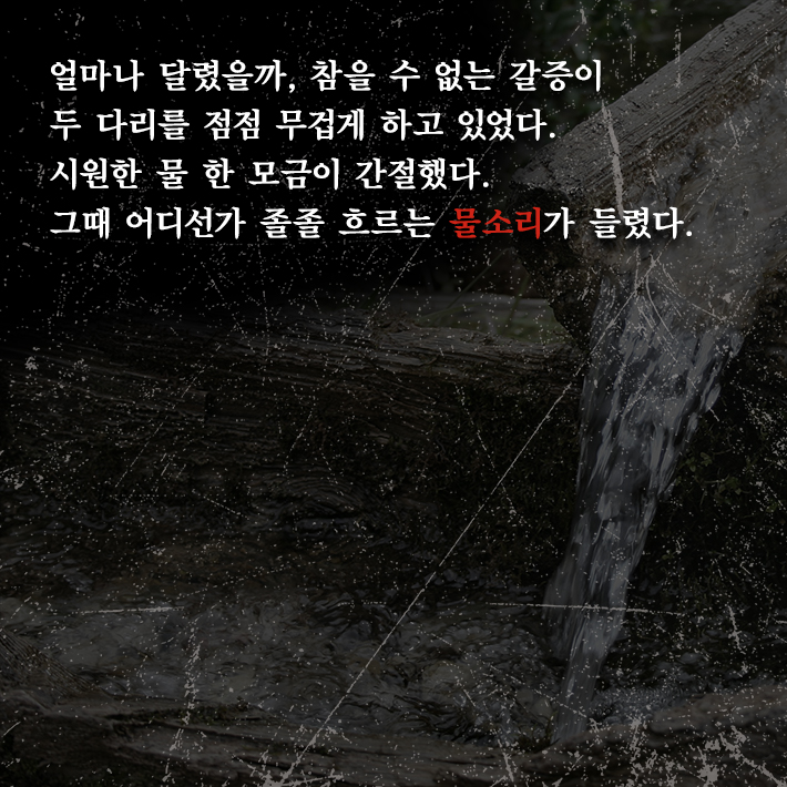 카드뉴스2
