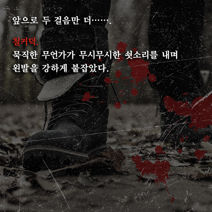 카드뉴스4