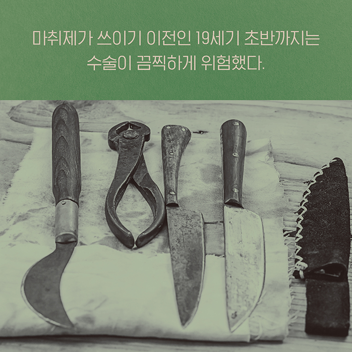 카드뉴스0