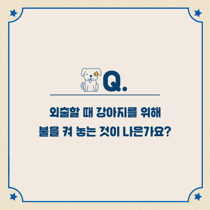 카드뉴스1