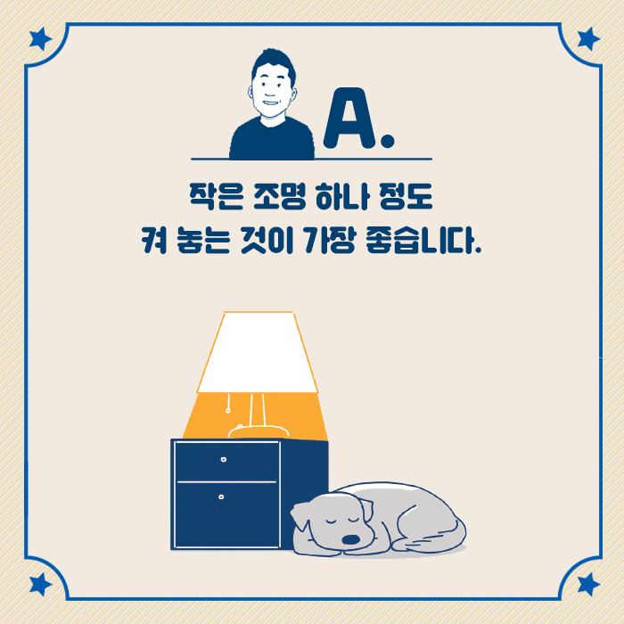 카드뉴스2