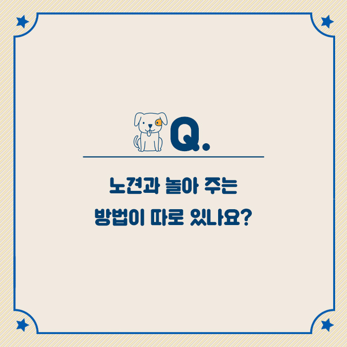 카드뉴스3