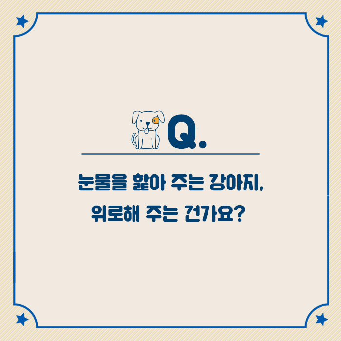 카드뉴스5