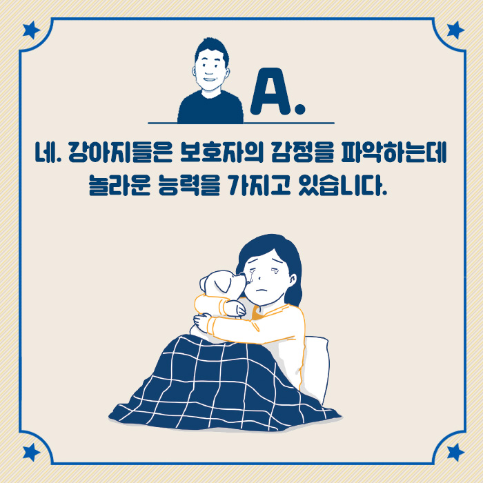 카드뉴스6