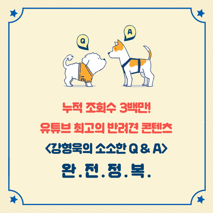 카드뉴스8