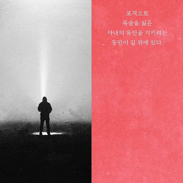 카드뉴스2
