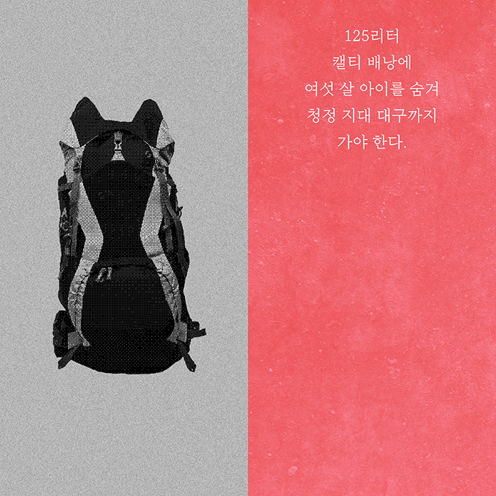 카드뉴스3