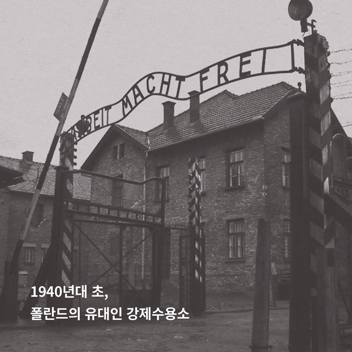 카드뉴스3