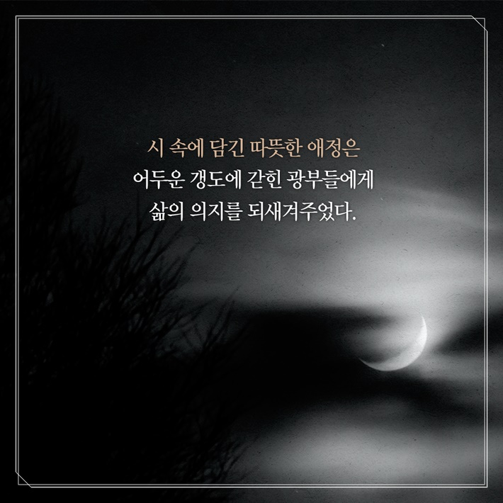 카드뉴스6