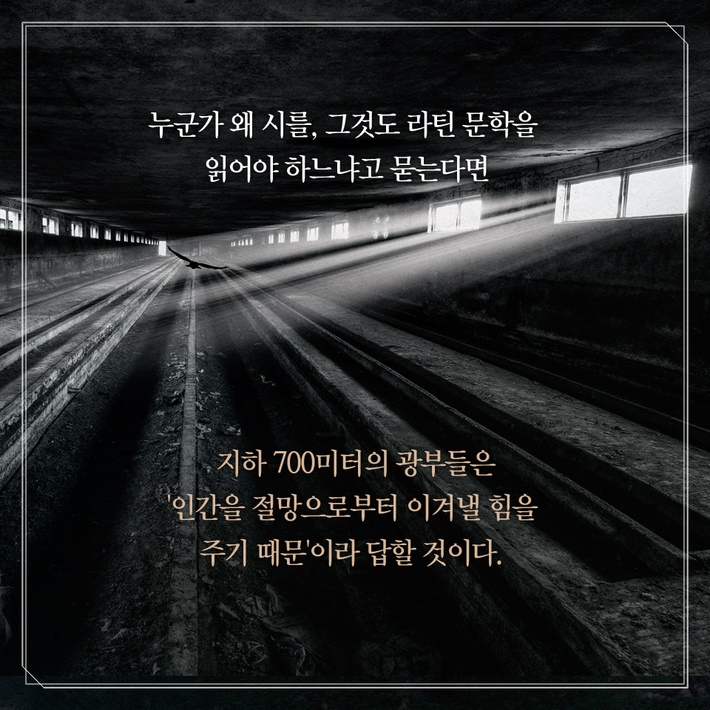 카드뉴스8