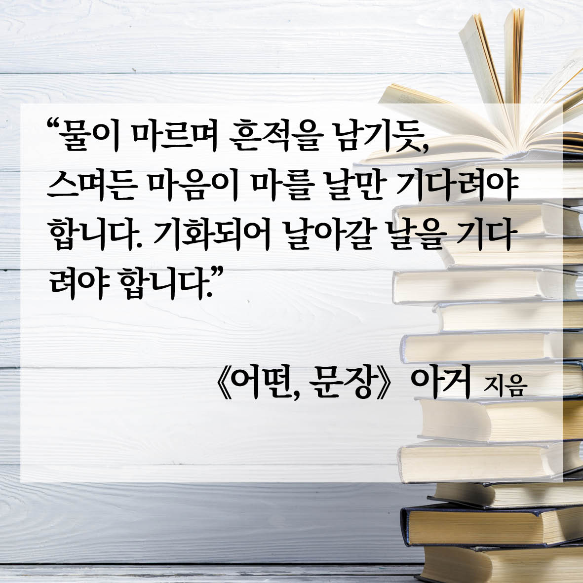 카드뉴스3