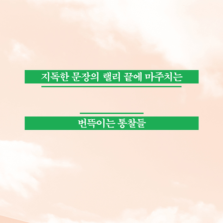 카드뉴스8