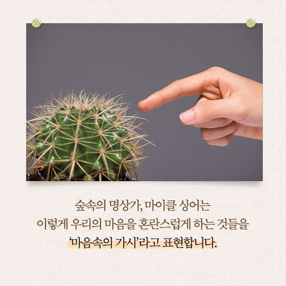 카드뉴스2