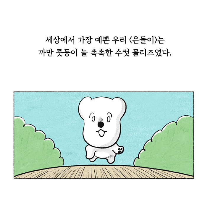카드뉴스0