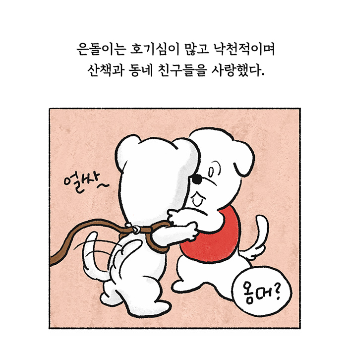 카드뉴스2