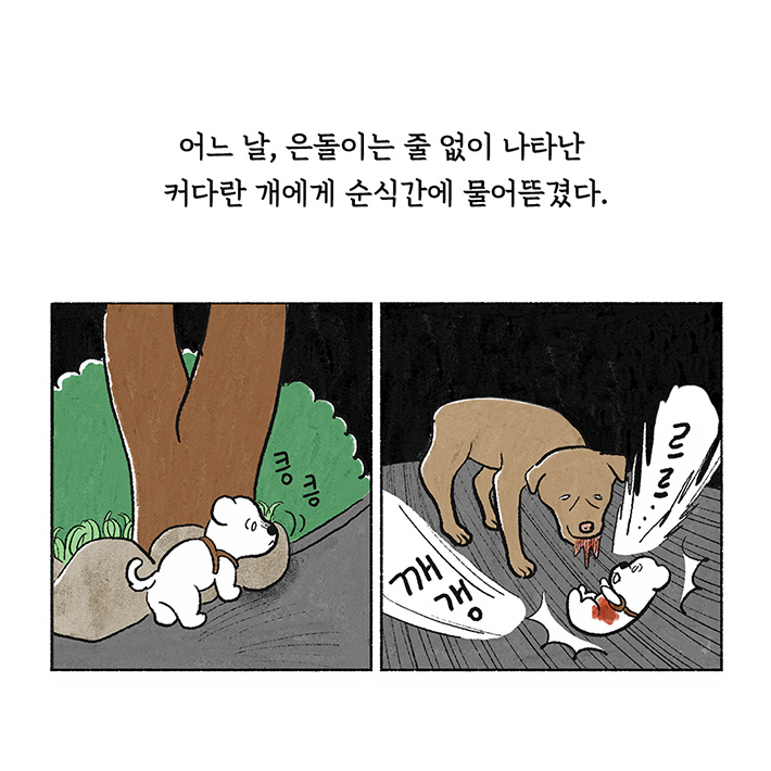 카드뉴스3