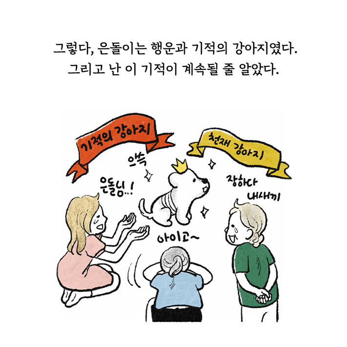 카드뉴스5