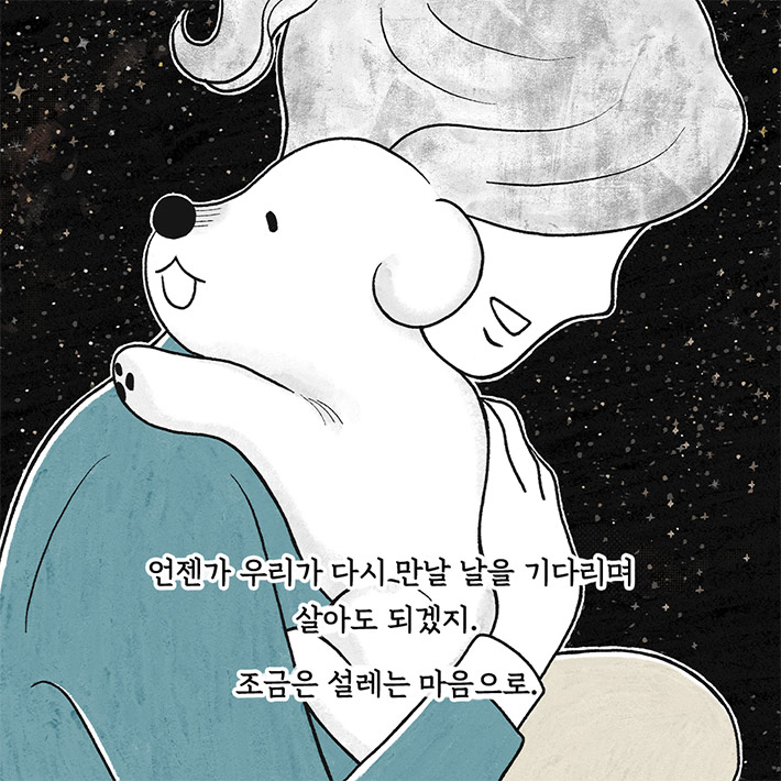 카드뉴스10
