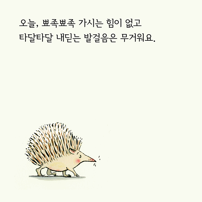 카드뉴스0