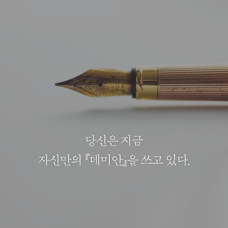 카드뉴스12