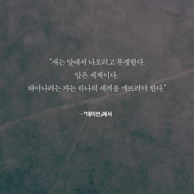 카드뉴스13