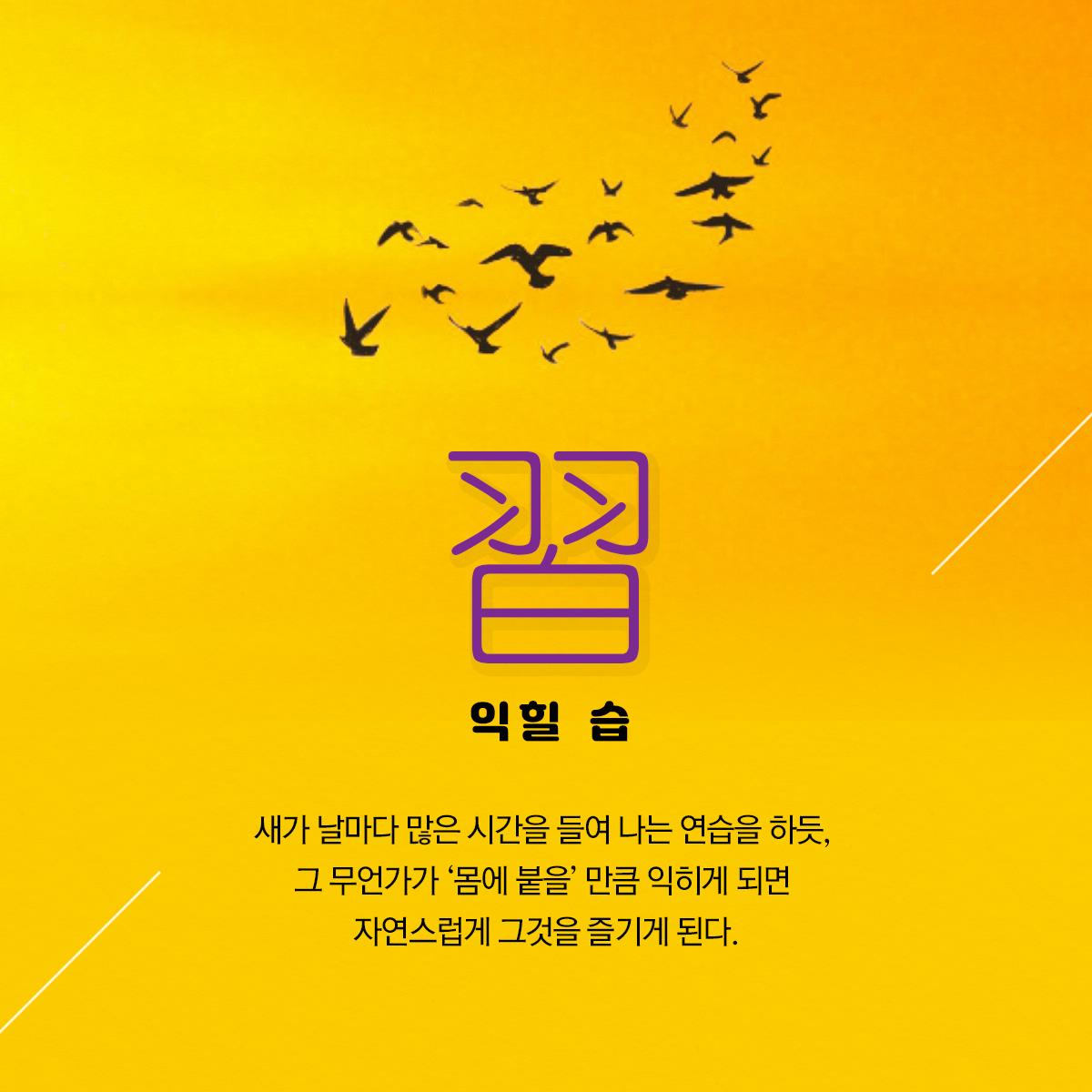 카드뉴스4
