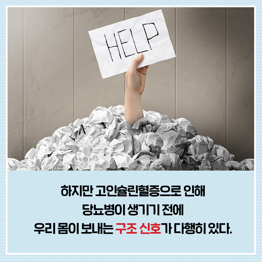 카드뉴스4