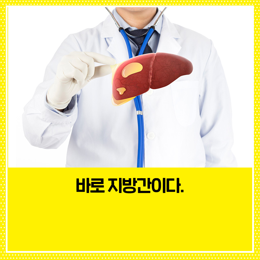 카드뉴스5