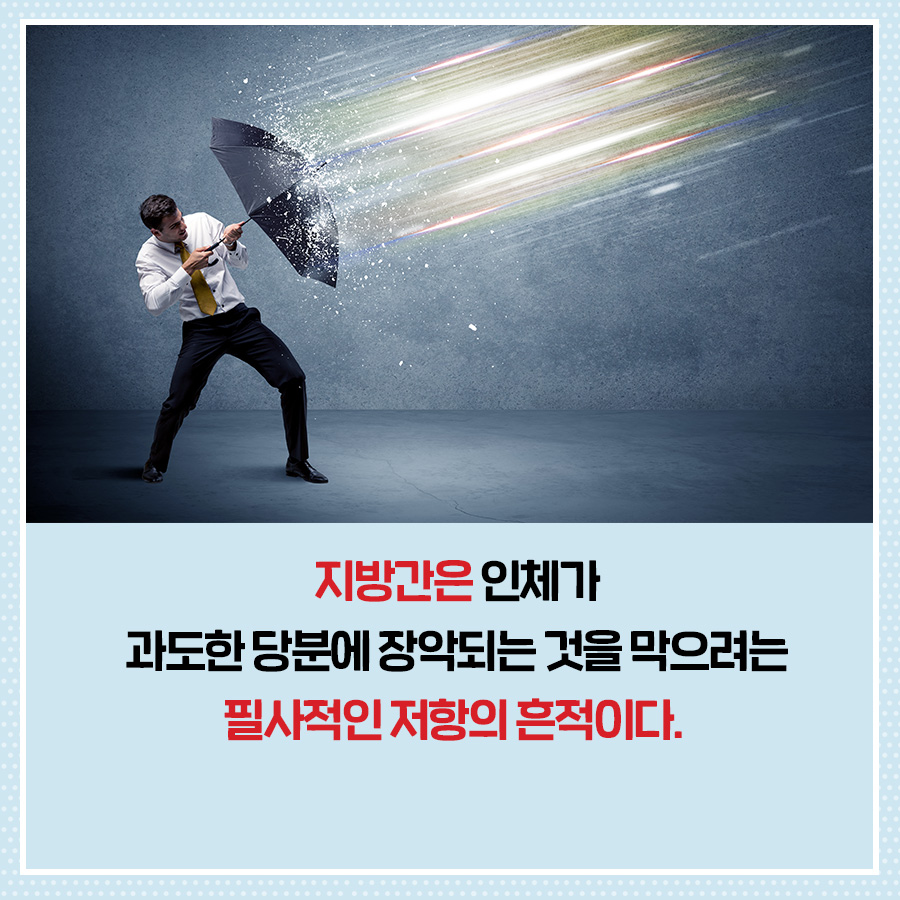 카드뉴스6