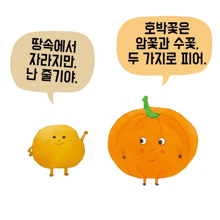 카드뉴스5