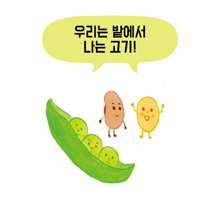 카드뉴스6
