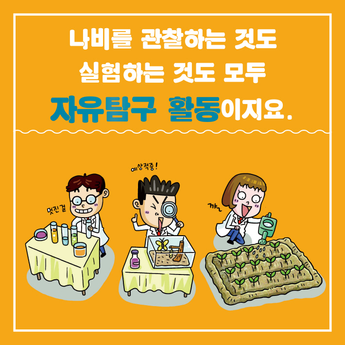 카드뉴스2