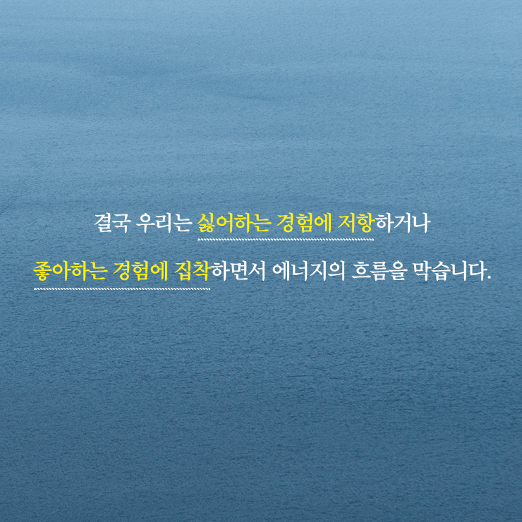 카드뉴스12