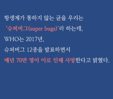 카드뉴스5