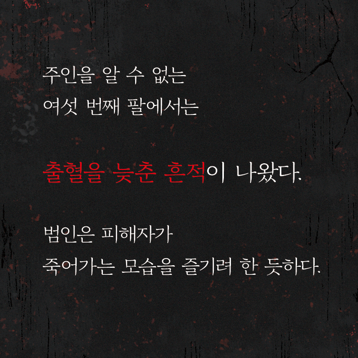 카드뉴스4