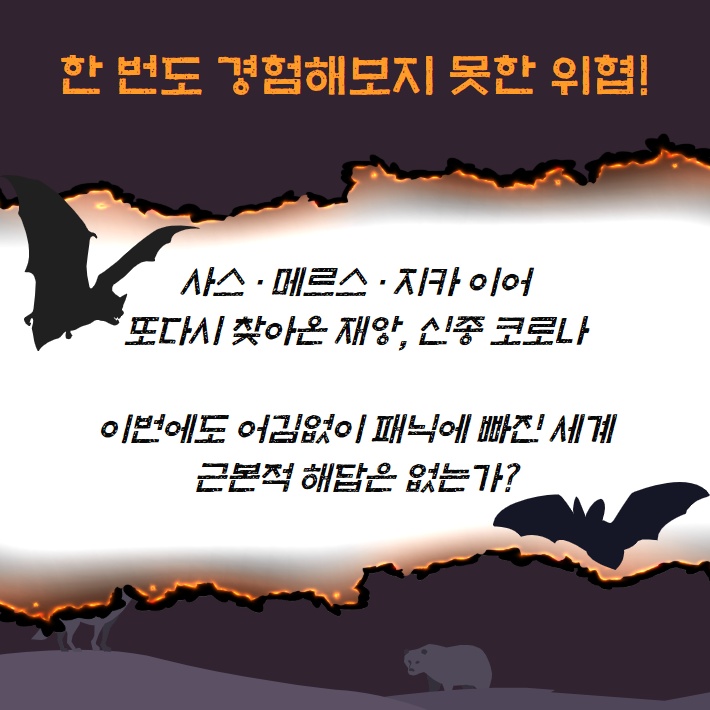 카드뉴스1