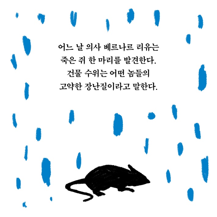 카드뉴스2