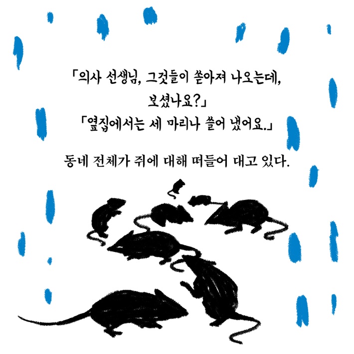카드뉴스4
