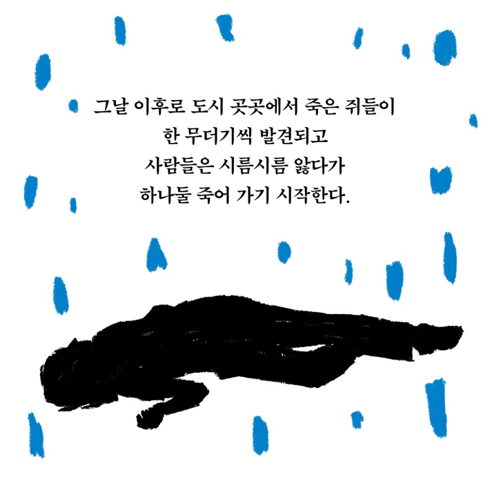 카드뉴스5