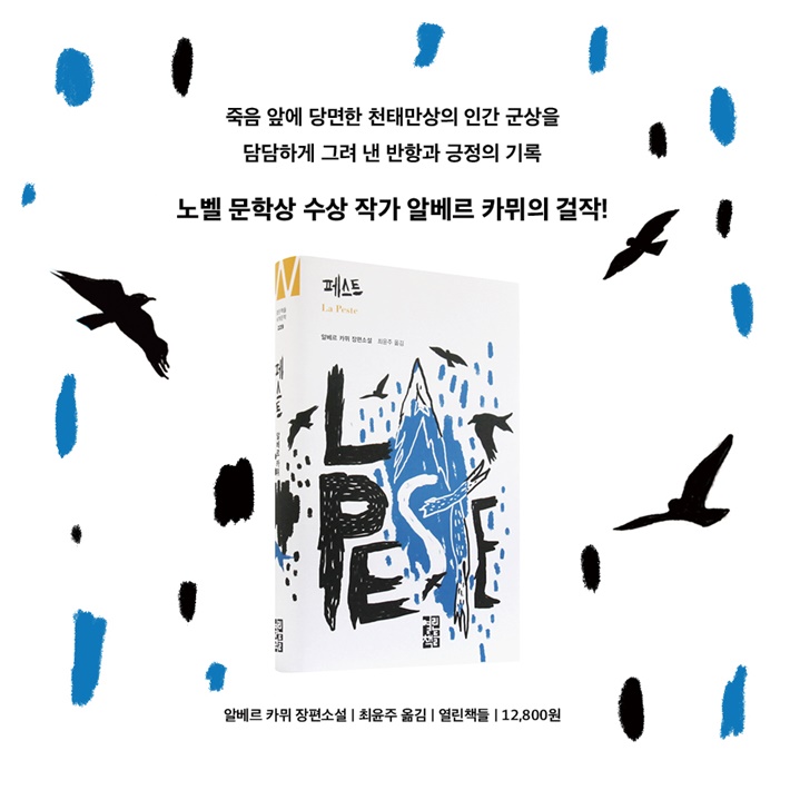 카드뉴스14