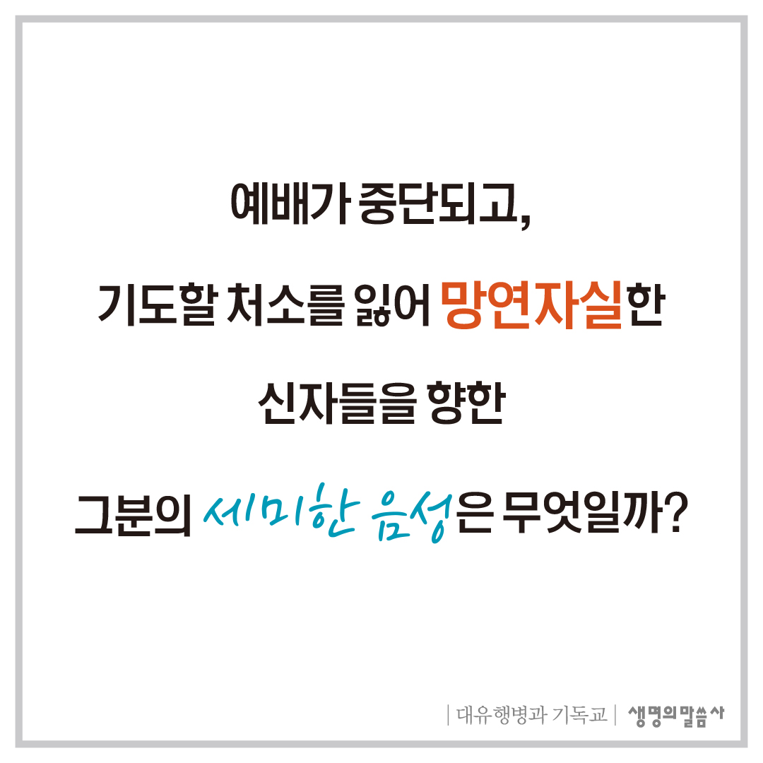 카드뉴스8