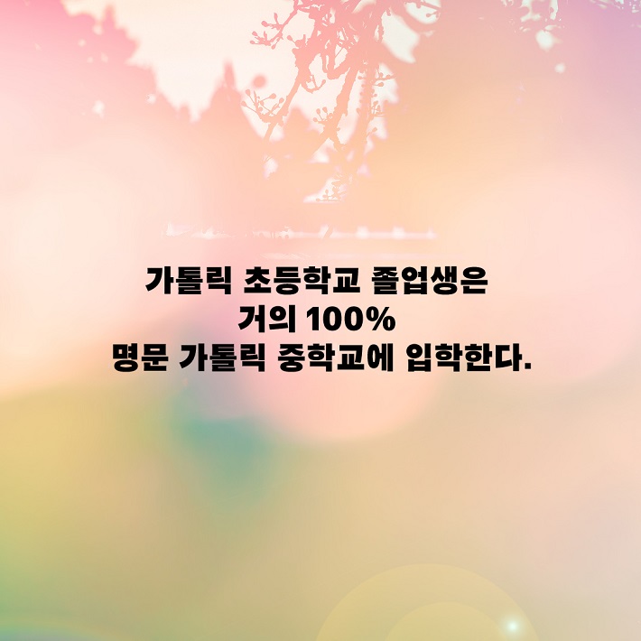 카드뉴스4