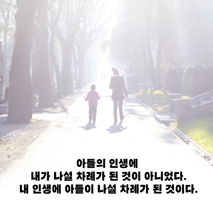 카드뉴스18