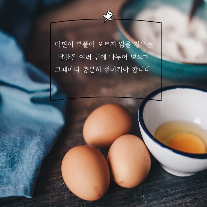 카드뉴스2