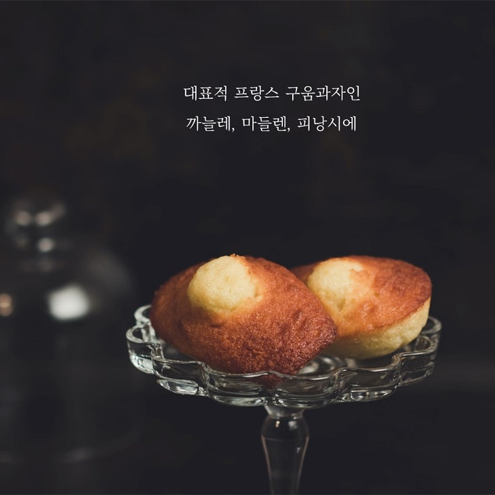 카드뉴스6